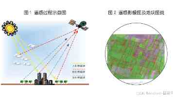 阿麦斯冲刺IPO,“中国软糖第一股”要来了?